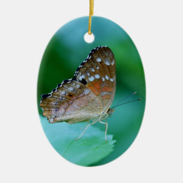 Ornamento De Cerâmica Linda Borboleta Danaus Plexippus na Folha.