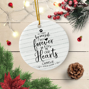 Ornamento De Cerâmica Linda Memória Fotográfica de Gato ou Cachorro Rúst