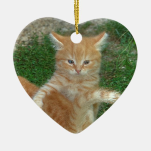 Ornamento De Cerâmica Linda Orange Tabby Kitten (Frente)