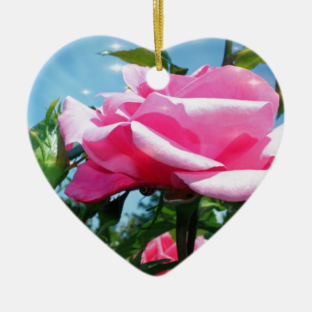 Ornamento De Cerâmica Linda rosa rosa rosa no céu azul. Fotografia flora (Frente)