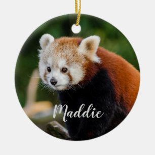 Ornamento De Cerâmica Lindo Panda Vermelho Fogo Raposa Personalizado