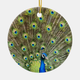 Ornamento De Cerâmica Lindo pássaro pavão