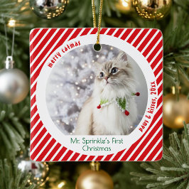 Ornamento De Cerâmica Lindos Gatos Primeiro Natal Lembrança Festiva 