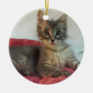 Ornamento De Cerâmica Linus