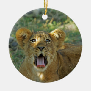 Ornamento De Cerâmica Lion Cub Yawn