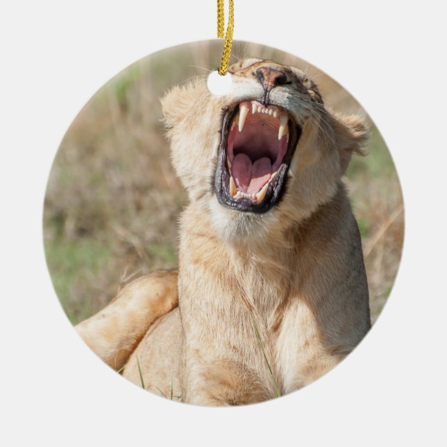 Ornamento De Cerâmica Lionidade de crescimento (Frente)
