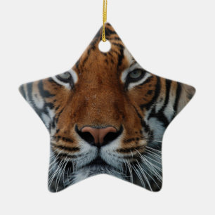 Ornamento De Cerâmica Listras de Gato Tigre Névoa da Selva Animal