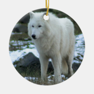 Ornamento De Cerâmica Lobo branco no inverno