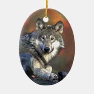 Ornamento De Cerâmica Lobo Gris