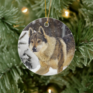 Ornamento De Cerâmica Lobo Selvagem de Cinzas Bonitas na neve