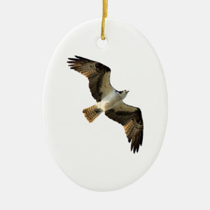 Ornamento De Cerâmica Logotipo do Osprey em vôo