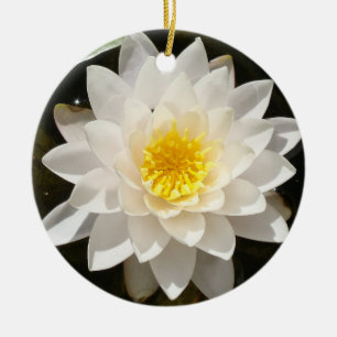 Ornamento De Cerâmica Lotus Waterlily Branco Flutuante 