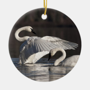 Ornamento De Cerâmica Loving Swans