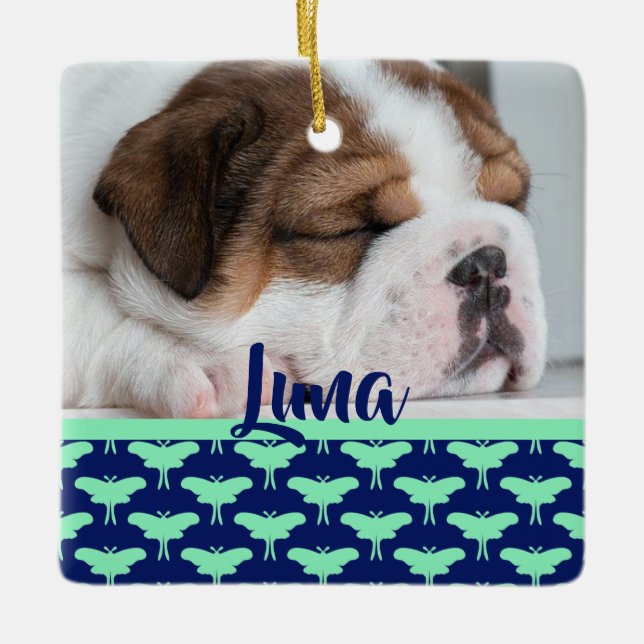 Ornamento De Cerâmica Luna Moth (Frente)