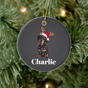Ornamento De Cerâmica Luzes de Natal para Cachorro Dachshund com Nome Pe