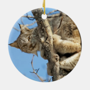Ornamento De Cerâmica Lynx Malicioso