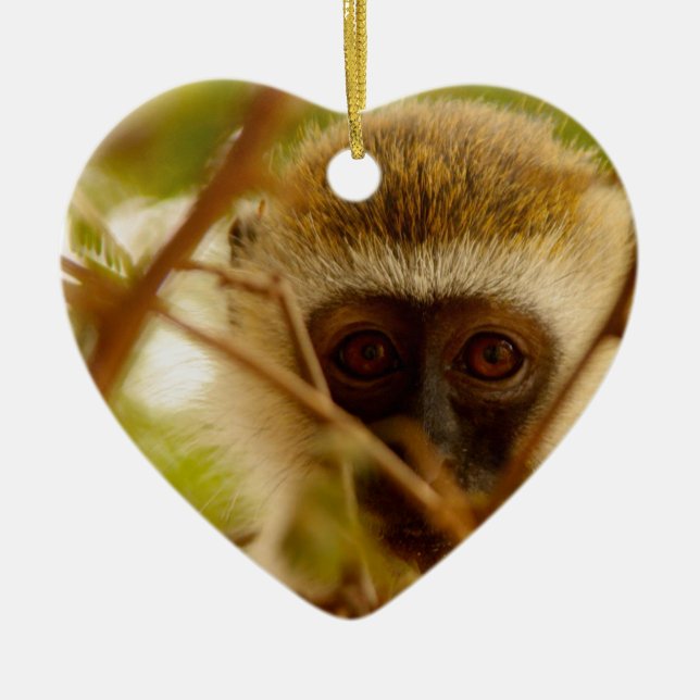 Ornamento De Cerâmica Macaco atrevido. (Frente)