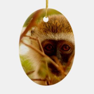 Ornamento De Cerâmica Macaco atrevido.