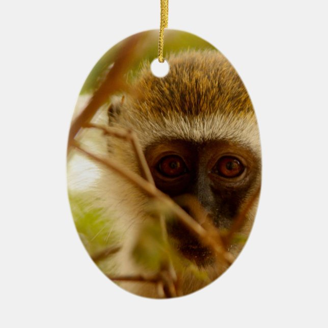 Ornamento De Cerâmica Macaco atrevido. (Frente)