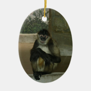 Ornamento De Cerâmica Macaco Bonito