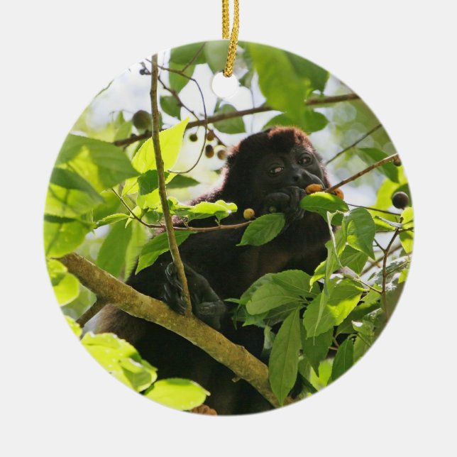 Ornamento De Cerâmica Macaco de Howler que come na selva (Frente)