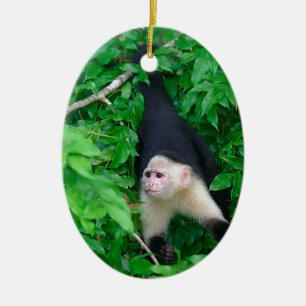Ornamento De Cerâmica Macaco enfrentado branco do capuchin