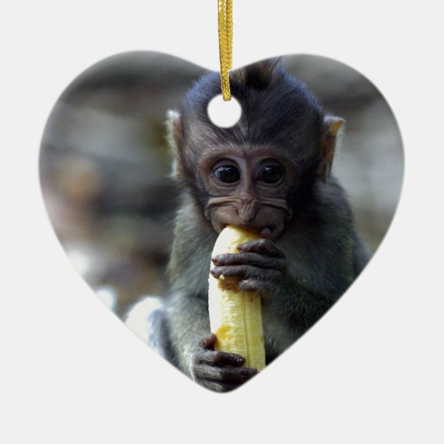 Ornamento De Cerâmica Macaco-macaco-bebê bonito comendo banana (Frente)