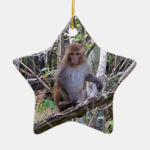 Ornamento De Cerâmica macaco rhesus