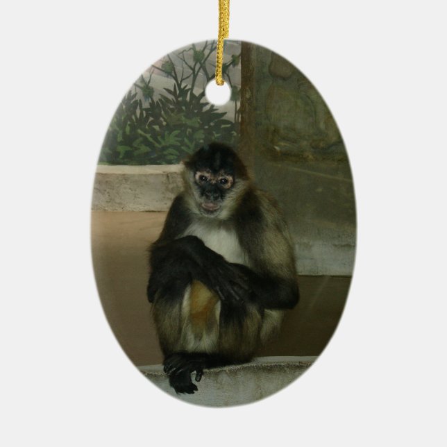 Ornamento De Cerâmica Macaco Sentado Bonito (Frente)