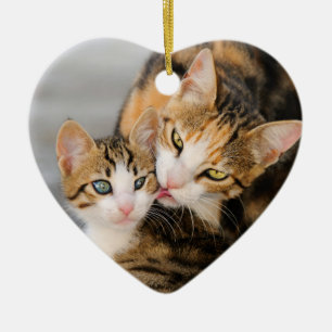 Ornamento De Cerâmica Mãe Gata Adora Gatinho Bonito Decor