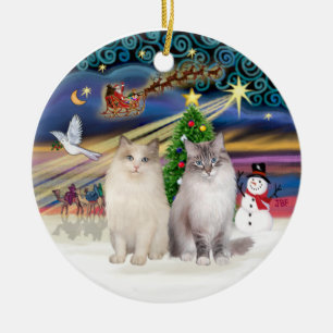 Ornamento De Cerâmica Mágica de Natal - Dois gatos Ragdols