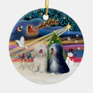Ornamento De Cerâmica Mágica do Xmas - Terriers Tibetanos (DOIS)