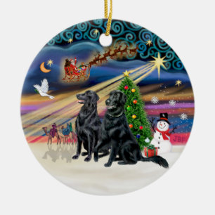 Ornamento De Cerâmica Mágica Xmas - Retornos Revestidos Planos (dois)