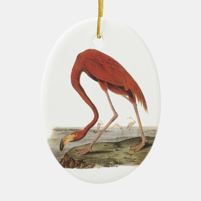 Ornamento De Cerâmica Maior flamingo, John Audubon (Frente)