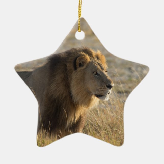 ORNAMENTO DE CERÂMICA MALE LION (Frente)