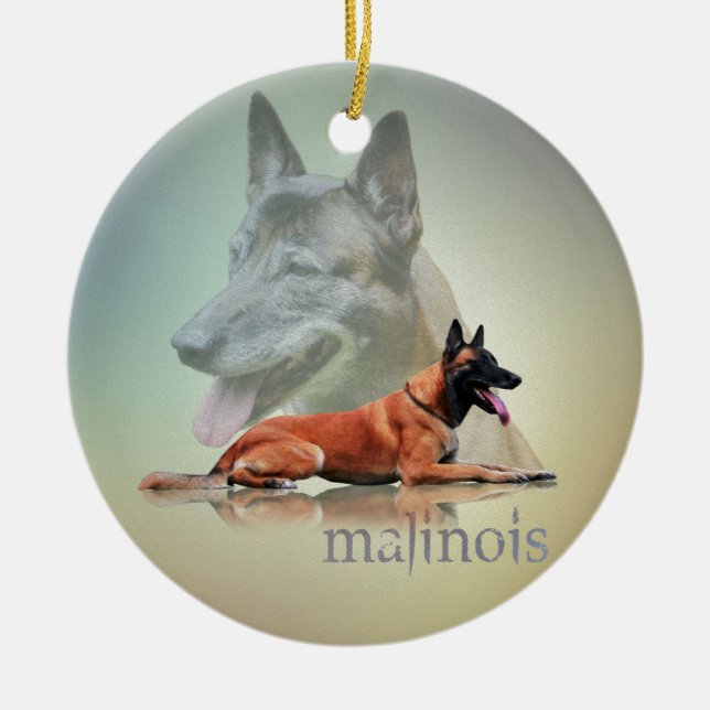 Ornamento De Cerâmica Malinois - pastor belga - Mechelaar - Maligator (Frente)