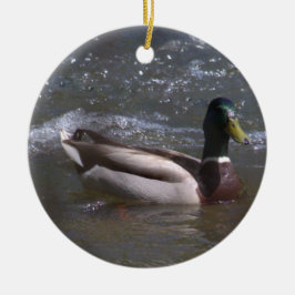 Ornamento De Cerâmica Mallard Drake Ornament