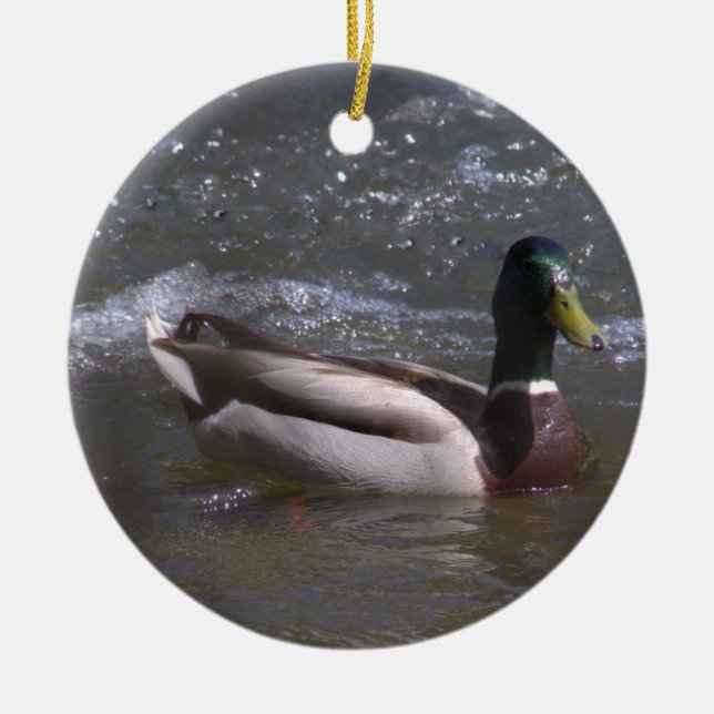 Ornamento De Cerâmica Mallard Drake Ornament (Frente)
