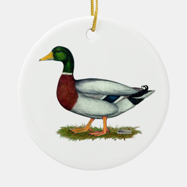 Ornamento De Cerâmica Mallard Duck Drake (Frente)