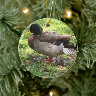 Ornamento De Cerâmica Mallard Duck Ornament