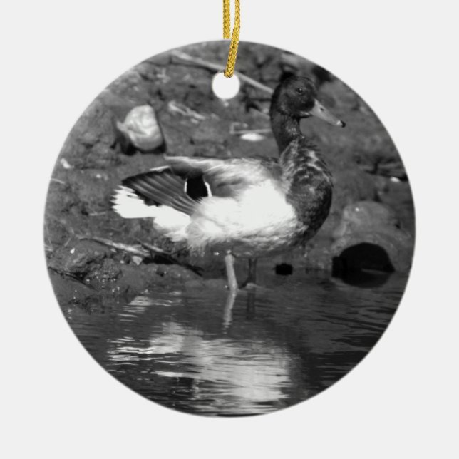 Ornamento De Cerâmica Mallard Duck Ornament (Frente)