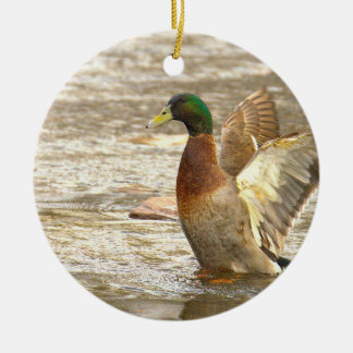 Ornamento De Cerâmica Mallard Duck Photo Ornament 