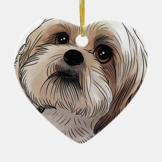 Ornamento De Cerâmica Malshi Mal-shi (Frente)