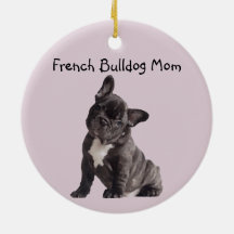 Mamãe Frenchie Bulldog Francês 
