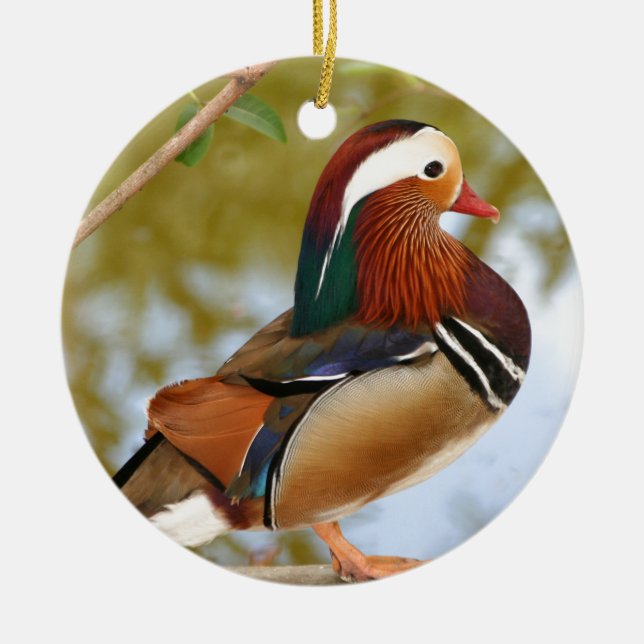 Ornamento De Cerâmica Mandarin Duck (Frente)