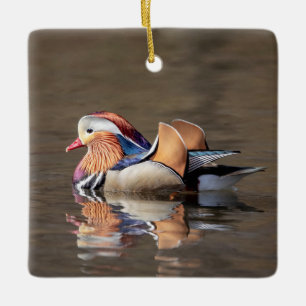 Ornamento De Cerâmica Mandarin Duck