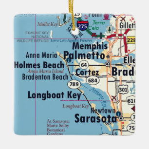 Ornamento De Cerâmica Mapa de Palmetto na Flórida