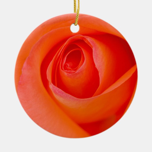 Ornamento De Cerâmica Maravilhoso Rosa Laranja Bud (Frente)