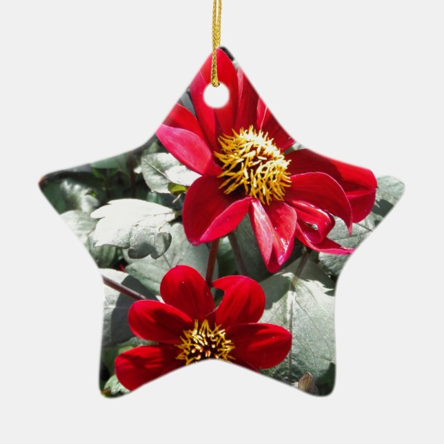 Ornamento De Cerâmica margarida rosa-vermelha / flores das margaridas (Frente)