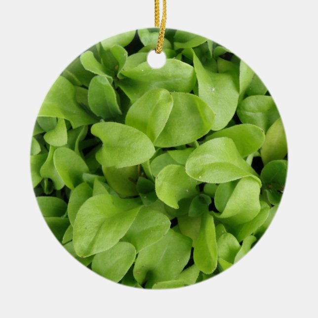 Ornamento De Cerâmica Marigold Seedlings Ornament (Frente)
